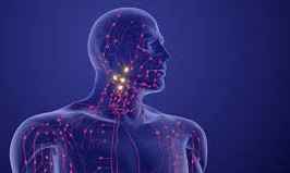 lymphoma project preview